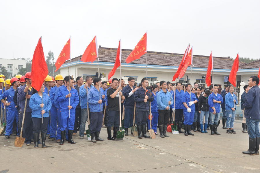 讓森林走進(jìn)銀億，讓銀億擁抱森林