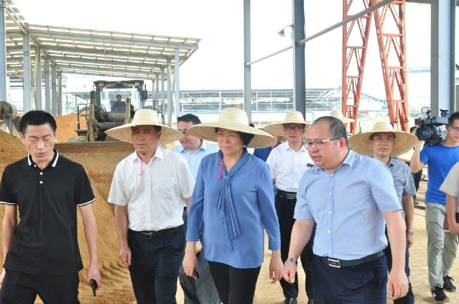 自治區(qū)黨委常委、副主席嚴(yán)植嬋一行蒞臨廣西銀億調(diào)研